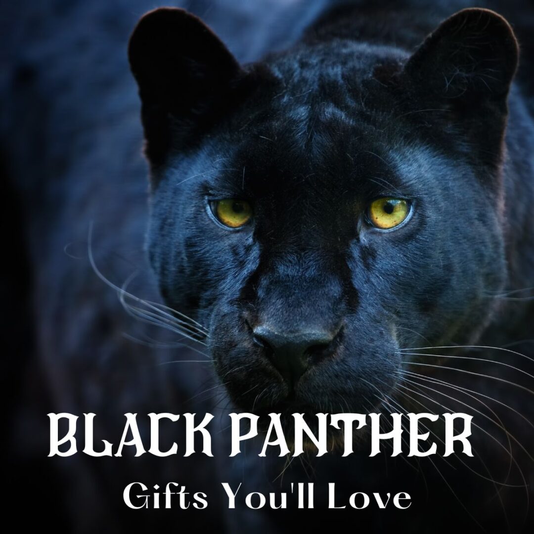 Top Gifts that Black Panther Fans Will Love!
